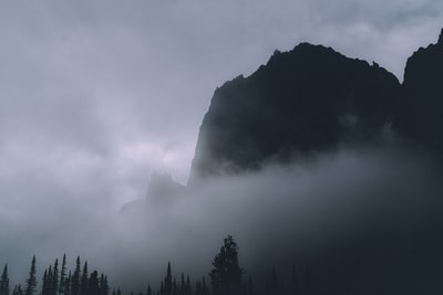 Baiyun mountain under the trees
